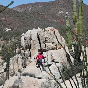 IMG 0017 (2)
